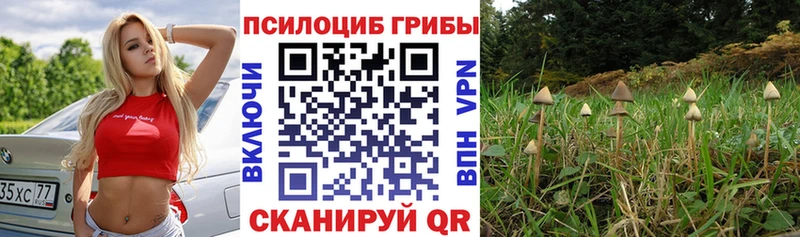 как найти закладки  Каневская  Галлюциногенные грибы MAGIC MUSHROOMS 
