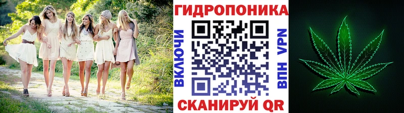 купить   Каневская  Шишки марихуана MAZAR 